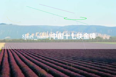 廊坊中国十七块金牌