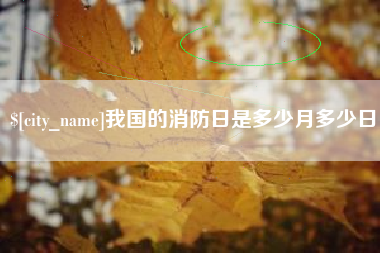廊坊我国的消防日是多少月多少日