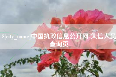 廊坊中国执政信息公开网-失信人员查询页