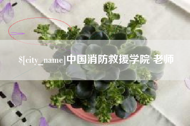 廊坊中国消防救援学院 老师
