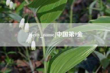 廊坊中国第9金
