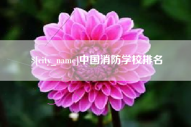 廊坊中国消防学校排名