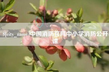 廊坊中国消防官网中小学消防公开课