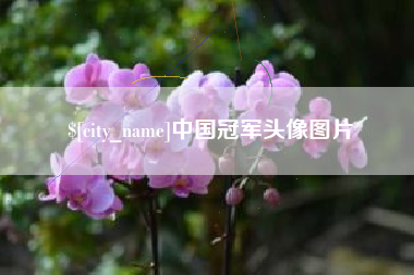 廊坊中国冠军头像图片