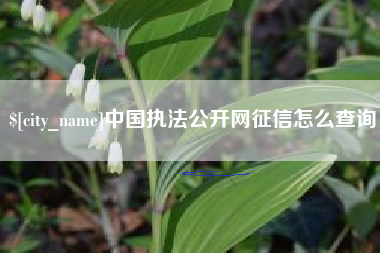 廊坊中国执法公开网征信怎么查询
