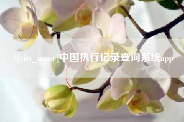 廊坊中国执行记录查询系统app