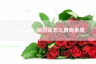 廊坊消防证怎么查询系统