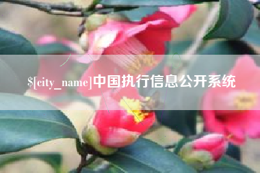 廊坊中国执行信息公开系统