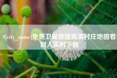 廊坊免费卫星地图高清村庄地图看到人实时下载