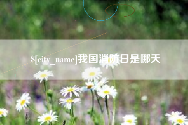 廊坊我国消防日是哪天