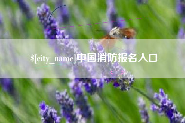 廊坊中国消防报名入口