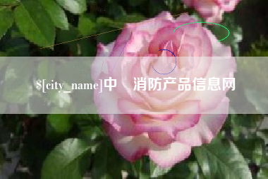 廊坊中囯消防产品信息网