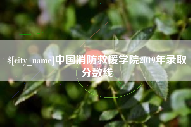 廊坊中国消防救援学院2019年录取分数线