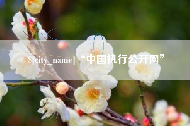 廊坊“中国执行公开网”