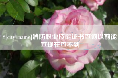 廊坊消防职业技能证书查询以前能查现在查不到
