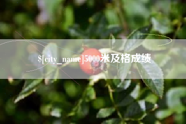 廊坊5000米及格成绩