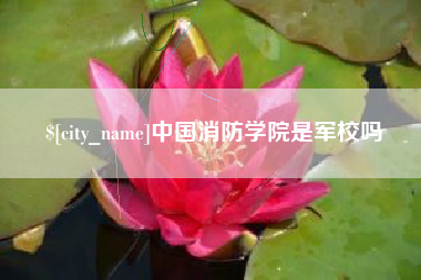 廊坊中国消防学院是军校吗