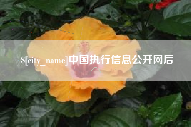 廊坊中国执行信息公开网后