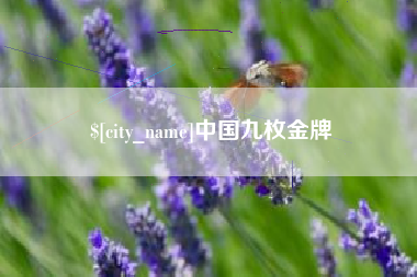 廊坊中国九枚金牌