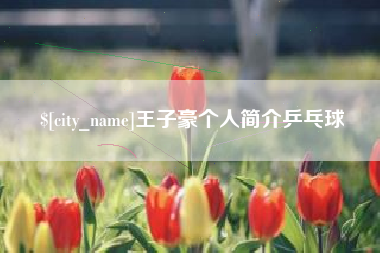 廊坊王子豪个人简介乒乓球