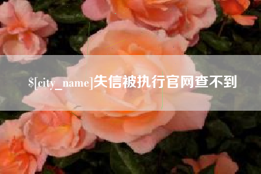 廊坊失信被执行官网查不到