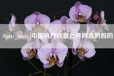 廊坊中国执行信息公开网真的假的