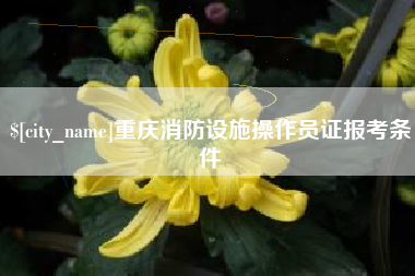 廊坊重庆消防设施操作员证报考条件