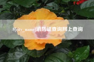 廊坊消防证查询网上查询
