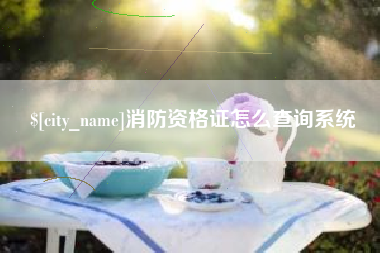 廊坊消防资格证怎么查询系统