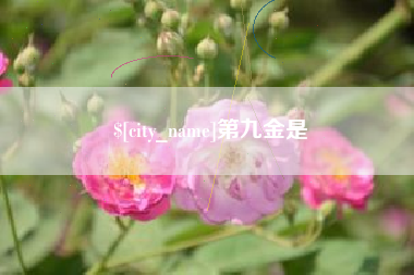 廊坊第九金是