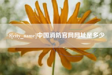 廊坊中国消防官网网址是多少