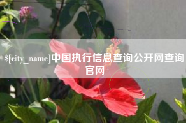 廊坊中国执行信息查询公开网查询官网