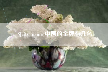 廊坊中国的金牌有几名