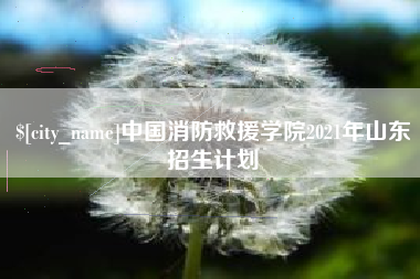 廊坊中国消防救援学院2021年山东招生计划