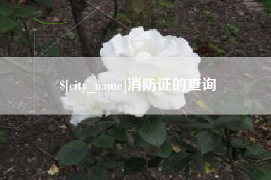 廊坊消防证的查询