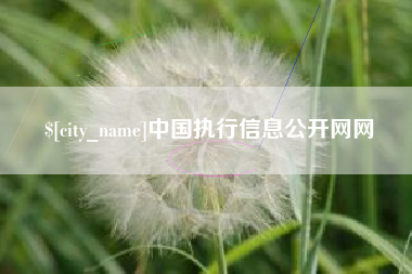 廊坊中国执行信息公开网网