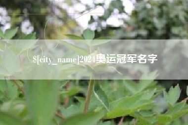 廊坊2024奥运冠军名字