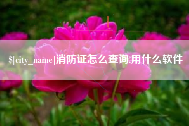 廊坊消防证怎么查询,用什么软件