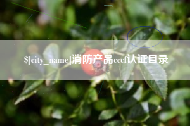 廊坊消防产品cccf认证目录