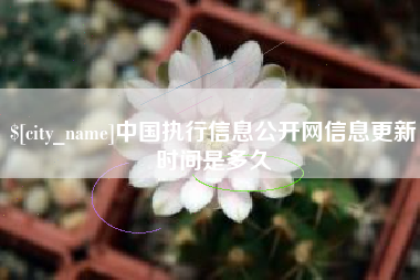 廊坊中国执行信息公开网信息更新时间是多久