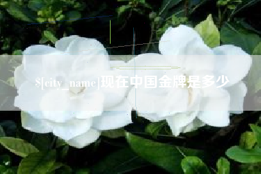 廊坊现在中国金牌是多少