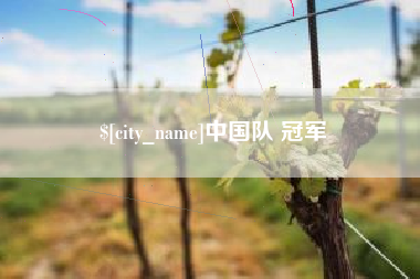 廊坊中国队 冠军