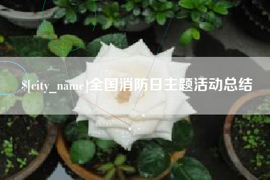 廊坊全国消防日主题活动总结