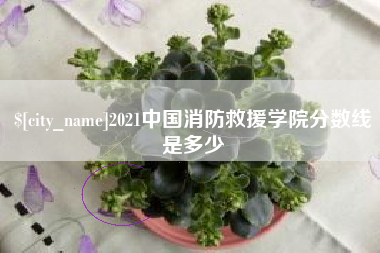 廊坊2021中国消防救援学院分数线是多少