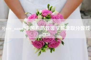 廊坊中国消防救援学院录取分数线2020