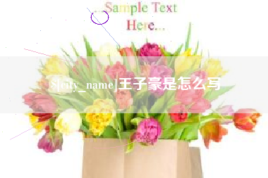 廊坊王子豪是怎么写