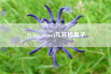廊坊九宫格盘子