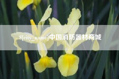 廊坊中国消防器材商城