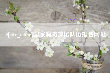 廊坊国家消防救援队伍报名网址