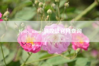 廊坊消控证官网查询